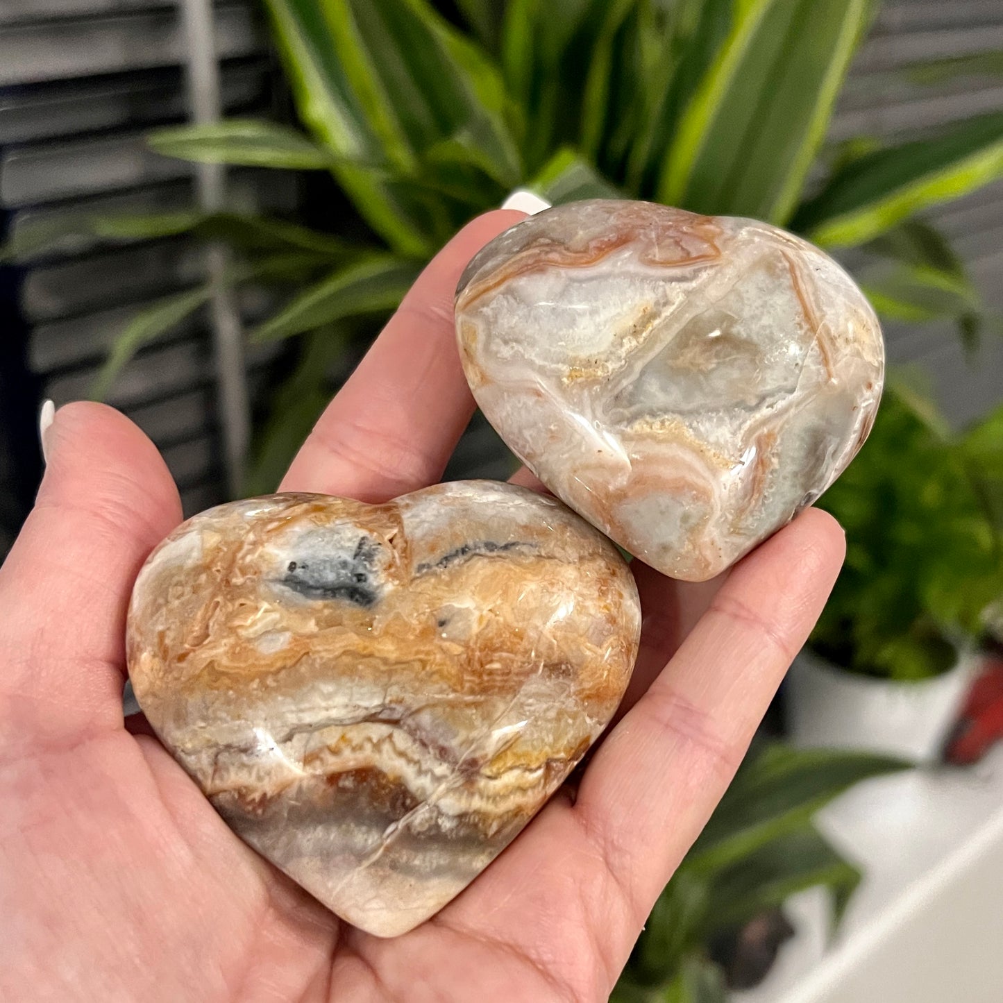 Crazy Lace Agate Hearts