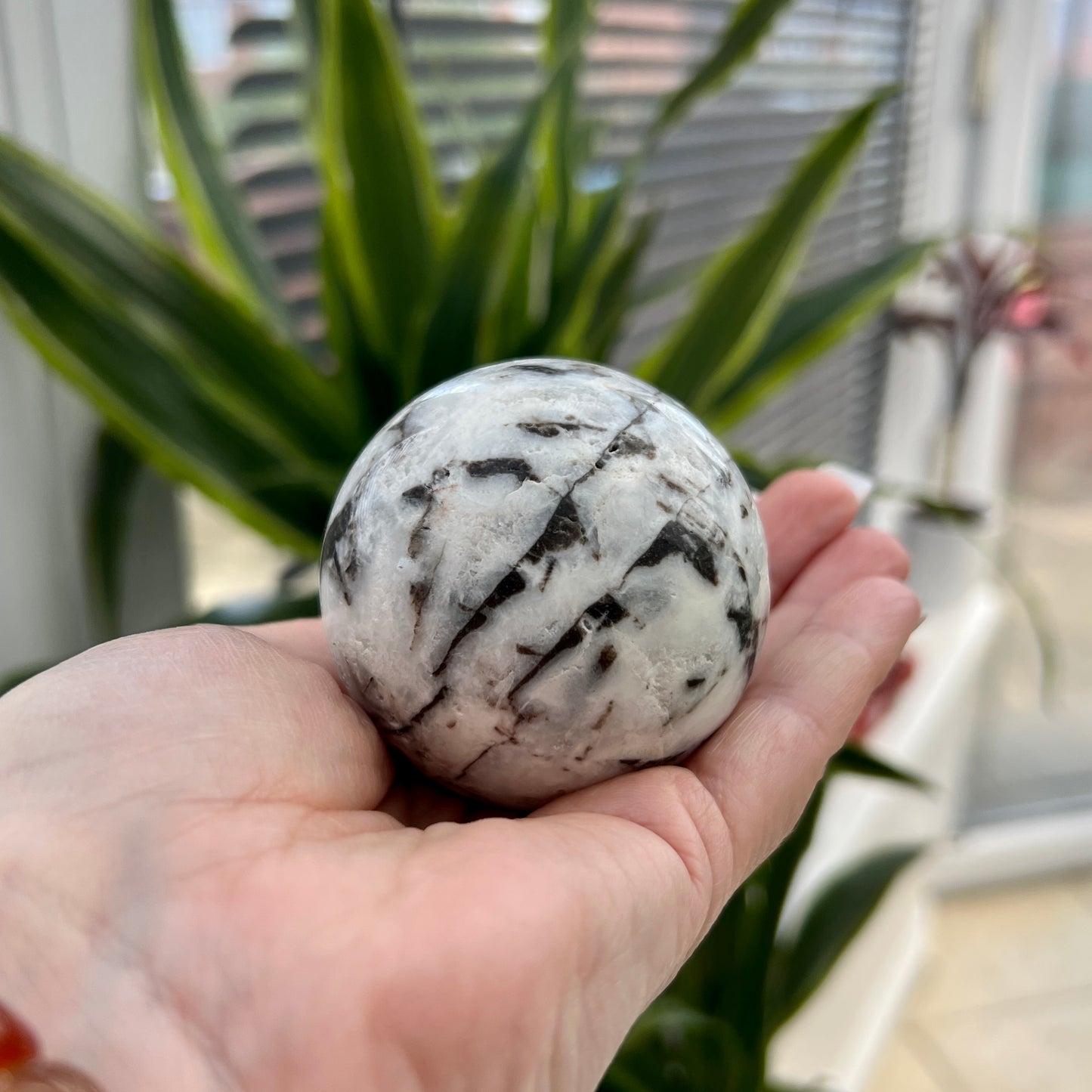 Shell Jasper Sphere